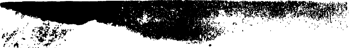 102/102660010203990_1.png