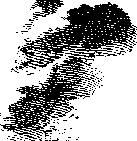 102/102670020000110_0.png