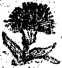 102/102790200000030_0.png