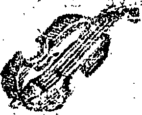 102/102790200000050_0.png