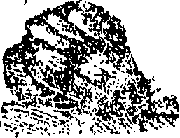 102/102790200000170_0.png
