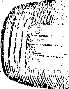 102/102790200000190_0.png