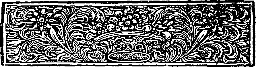 102/102860170101620_1.png