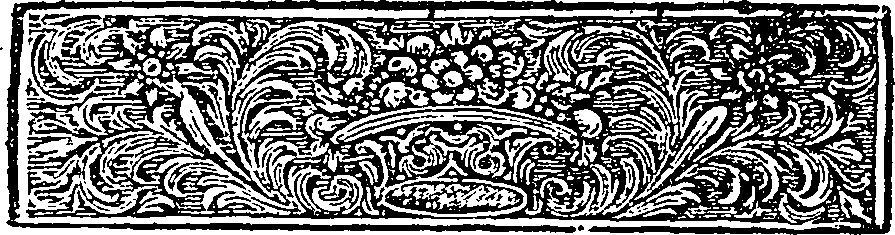 102/102860170101970_1.png
