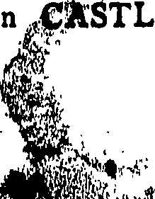 103/103000250000010_0.png