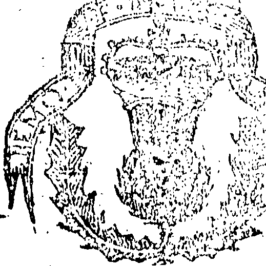 103/103010020000010_0.png