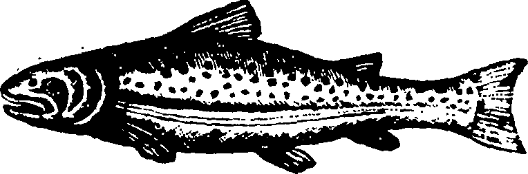 103/103010180000010_0.png