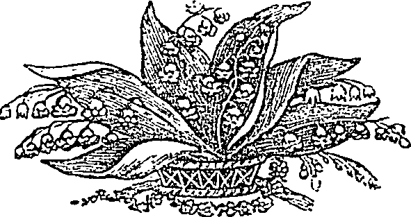 103/103110040000340_0.png