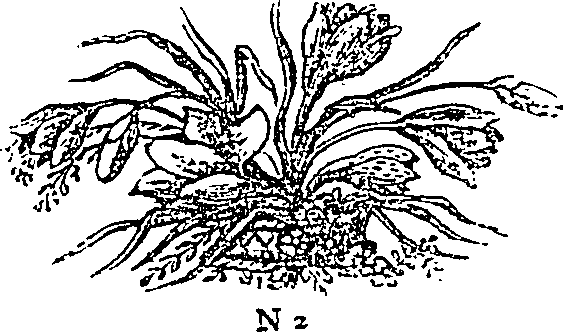 103/103110040001730_0.png