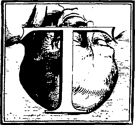 103/103200010001030_0.png