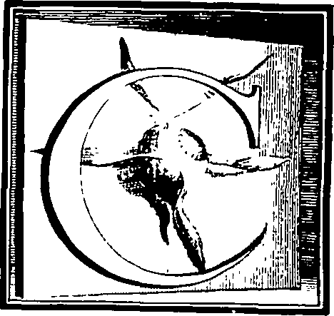 103/103200010001110_0.png