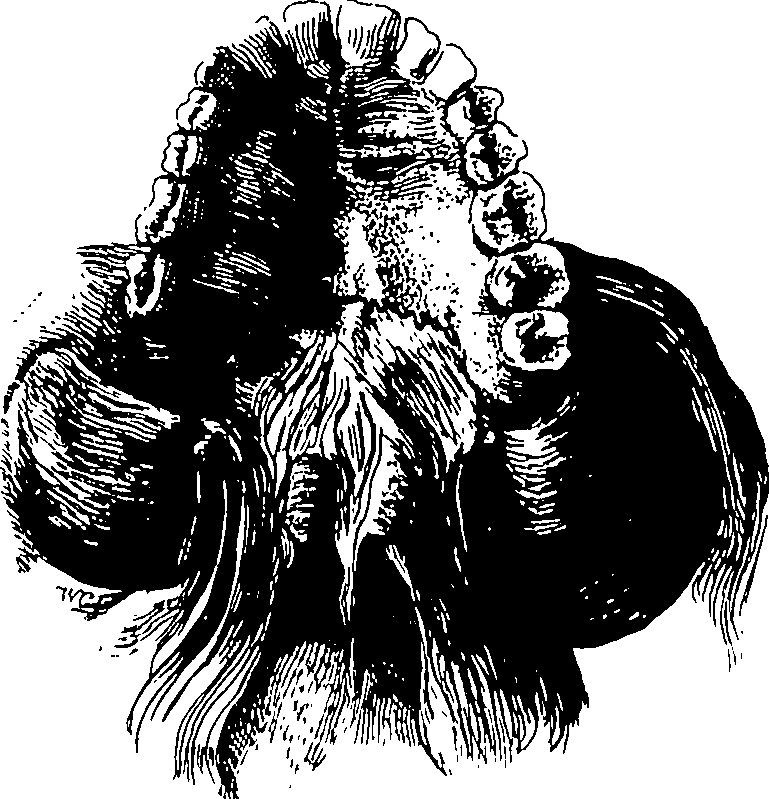 103/103200010001270_0.png