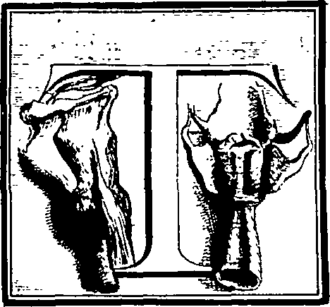 103/103200010001320_0.png