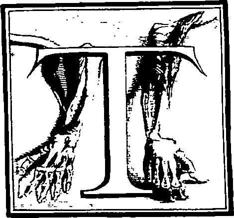 103/103200010001770_0.png