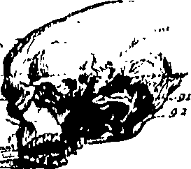 103/103200010002140_0.png