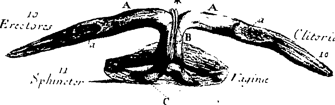 103/103200010002390_0.png
