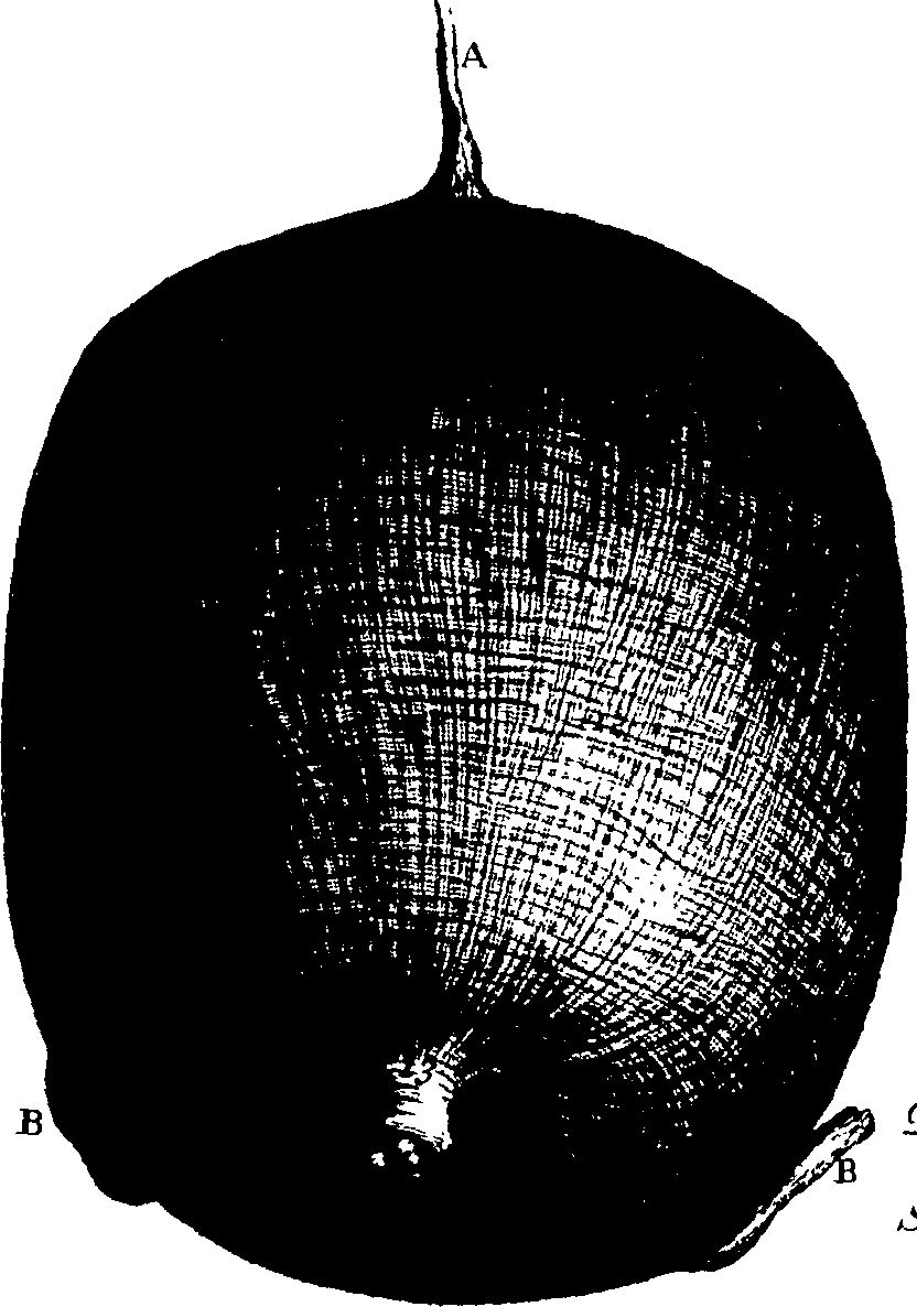 103/103200010002390_1.png
