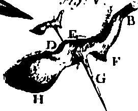 103/103200010002550_0.png