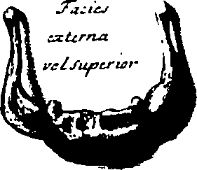 103/103200010002600_0.png