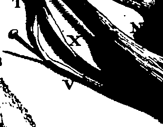 103/103200010002610_0.png