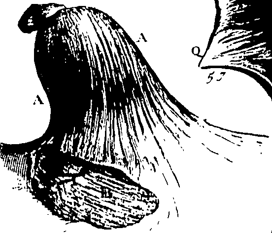 103/103200010002660_0.png
