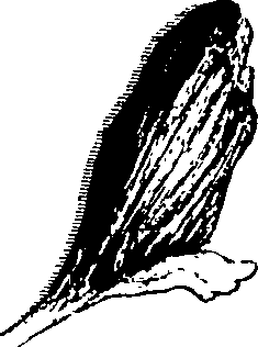 103/103200010002700_0.png