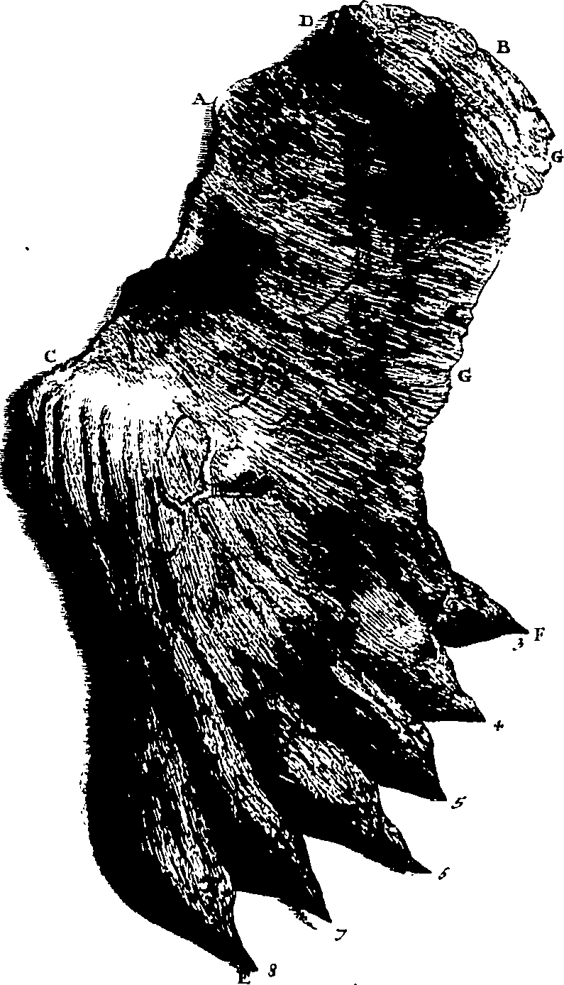 103/103200010002730_0.png