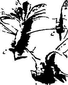 103/103200010002870_1.png