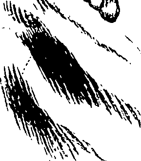 103/103200010003050_1.png