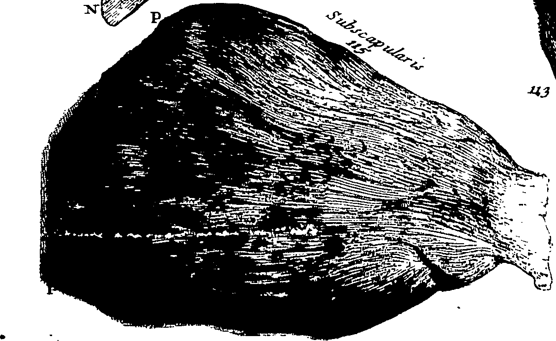 103/103200010003150_0.png