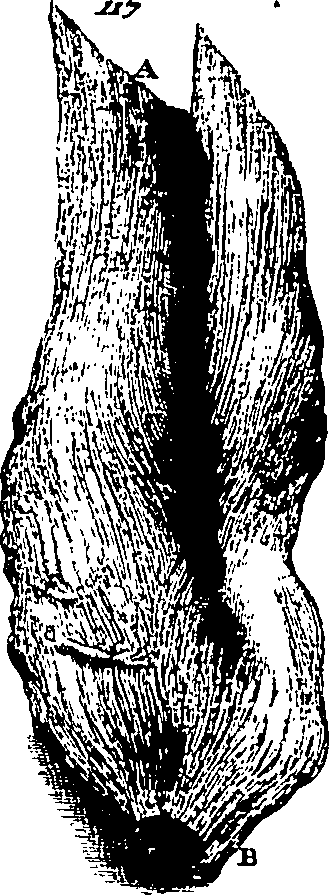 103/103200010003190_0.png