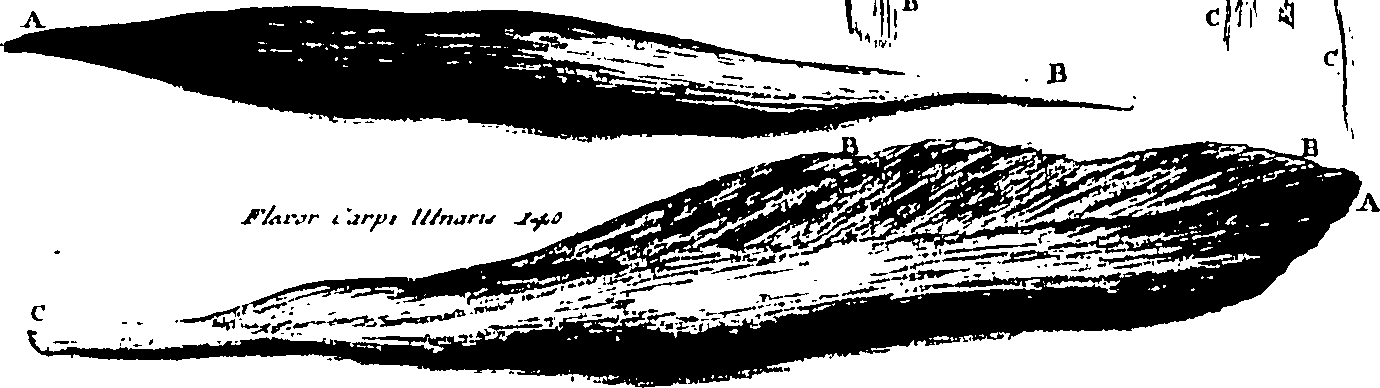 103/103200010003260_0.png