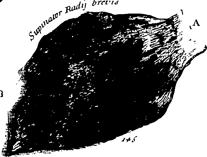 103/103200010003290_0.png