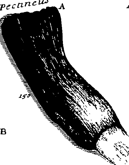 103/103200010003290_1.png