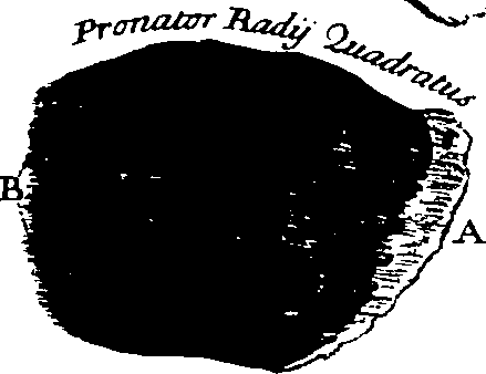 103/103200010003290_2.png