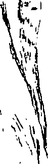 103/103200010003380_0.png