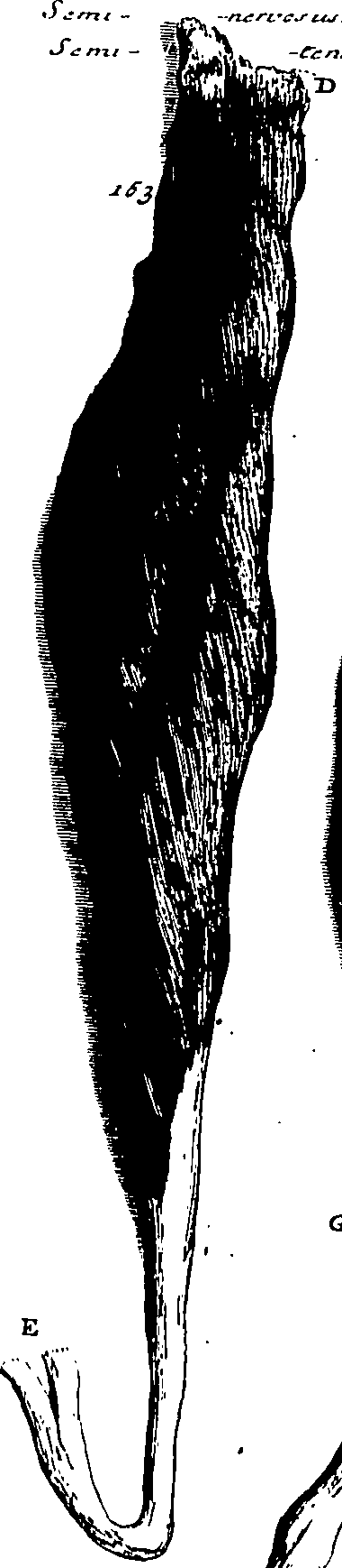 103/103200010003390_0.png