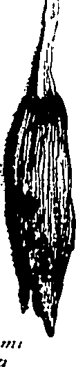 103/103200010003470_0.png