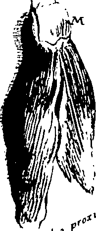 103/103200010003470_1.png