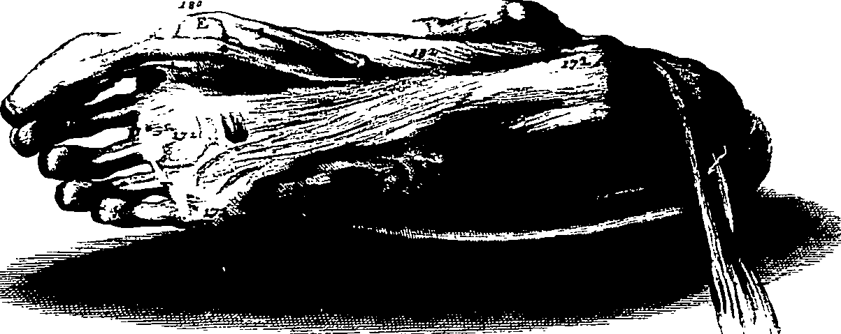 103/103200010003500_1.png