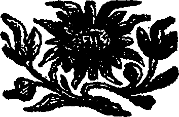 103/103230010400890_0.png