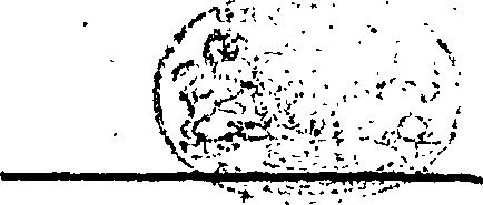 103/103250070002930_0.png