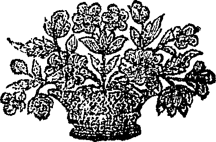 103/103390030000430_0.png