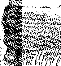103/103530080001430_0.png