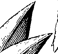 103/103590030002320_0.png
