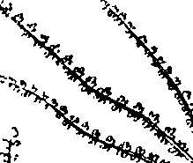 103/103590030002320_2.png
