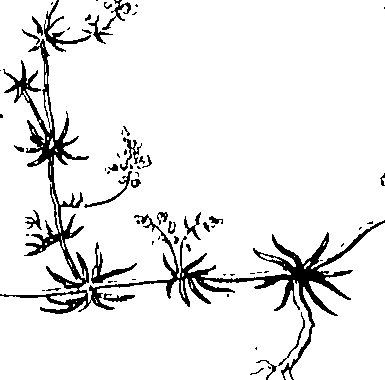 103/103590030002340_0.png