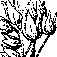 103/103590030002380_1.png
