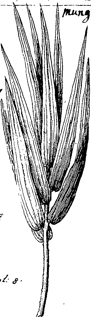 103/103590030002440_1.png