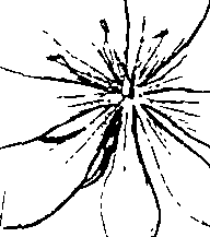 103/103590030002520_0.png